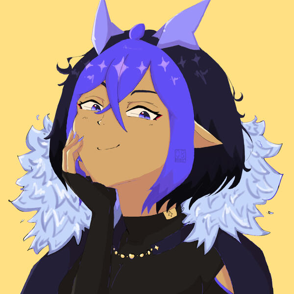 nova: pfp